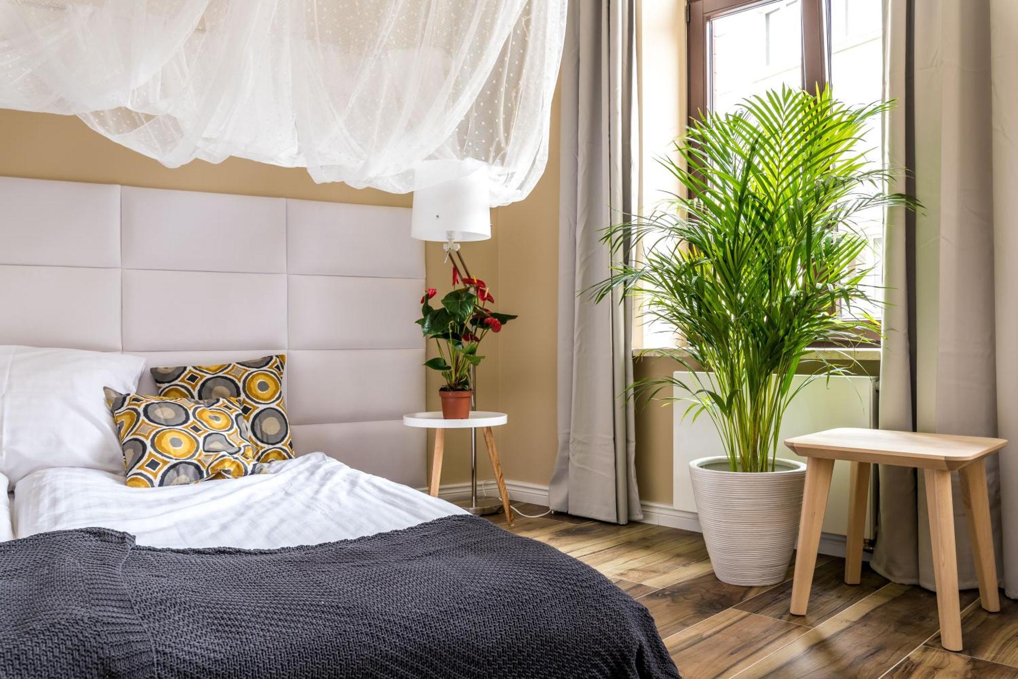פוזנן Cichy Zakatek Apartament Przy Starym Rynku מראה חיצוני תמונה